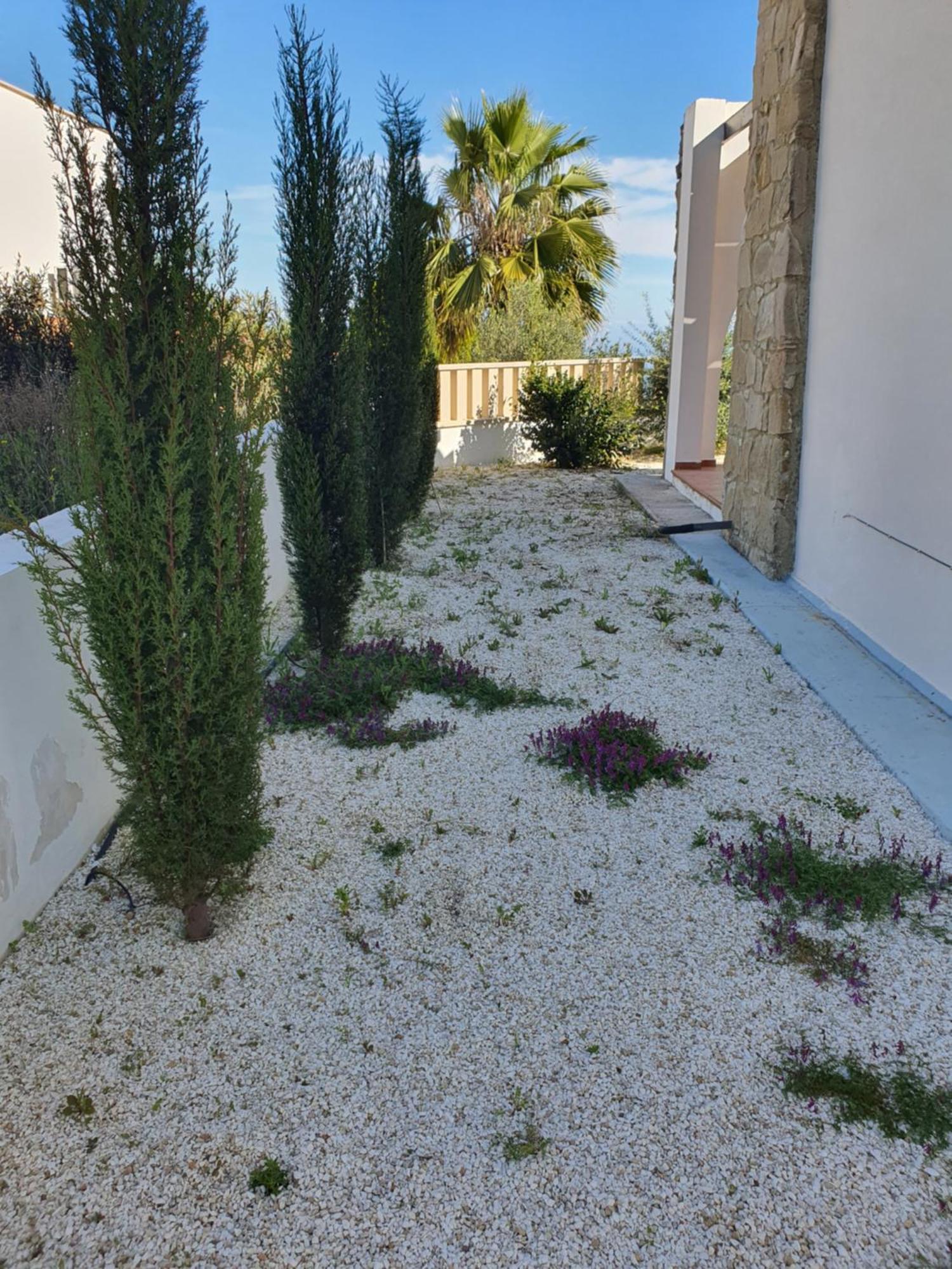 Villa Serapho Paphos Buitenkant foto